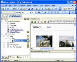 Built-in Web Browser Screenshot